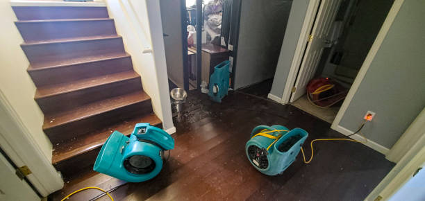 Best Wood Floor Water Damage Restoration in Findlay, OH